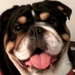 Meet your Posher, Eugenia